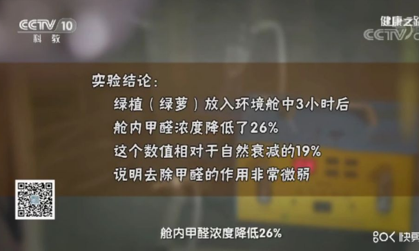 綠植能除甲醛嗎？